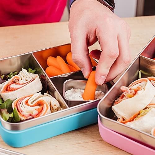 WeeSprout Small Bento Box
