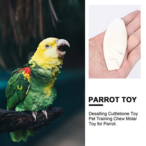 iplusmile Natural Cuddle Bone Parrot Chew Toys Chewing Cuttlefish Bone Bird Cuttlebone for Parakeets Cockatiel Macaw Conur (10cm, 12pcs)