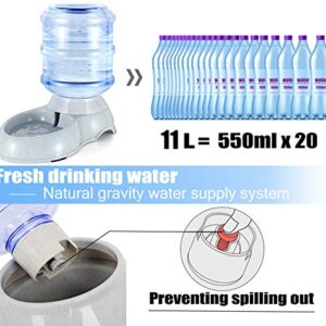 Blessed family Pet Gravity Water Dispenser Large 3 Gallon 11 Liters-Thickened Durable, Dog Cat Water Bowl Dispenser Large, Automatic Replenish Pet Waterer Dispenser Station