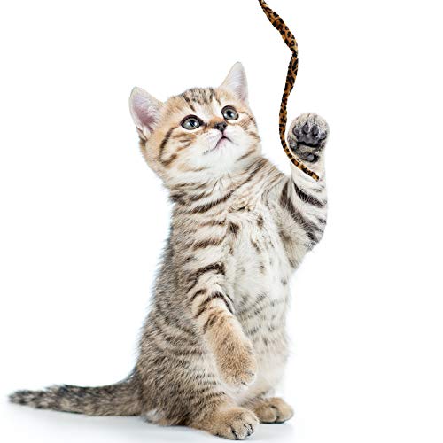 3 Pieces Jungle Cat Wand Cat Teaser Charmer Interactive Cat Toys Wand Fun Cat Kitten Kitty Playing Toy, 3 Styles (Classic Color)