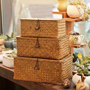 VORCOOL Shelf Baskets with Lid Handwoven Small Boxes Seagrass Storage Basket Desktop Makeup Organizer Rectangular Storage Cube Household Storage Box 23x13x8CM