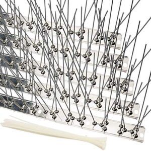 aushucu bird spikes cover 11feet stainless steel pigeons spikes small bird repellent spikes for roof fence window mailbox(11feet)