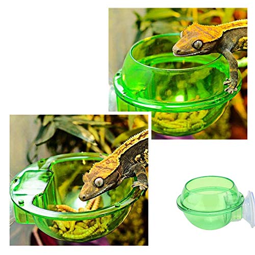 NA Reptile Food Bowl Anti-Escape Chameleon Bowl Cup Reptile Feeder Translucent Home Pet Feeder Supplies Accessories for Tortoise Gecko Snakes Chameleon Iguana