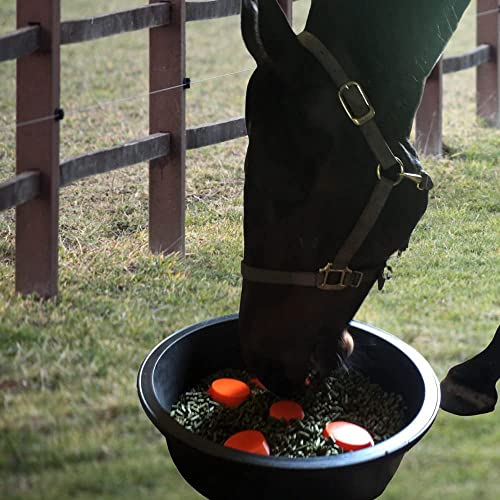 Drop 'N' Slow® Patented Portable Equine Slow Feeder Insert Designed to Reduce Choke, Curb Bad Eating Habits and Promote Healthy Digestion in Horses - Fits 12 Inch Round Feed Tubs