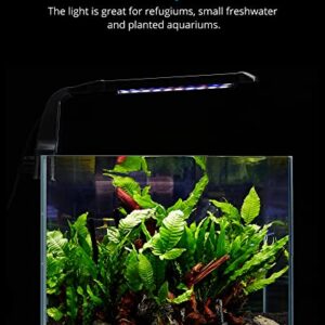 NICREW Clip on Aquarium Light, Fish Tank Light with White, Blue and Red LEDs, Planted Aquarium Light for Nano Tank, 2 Lighting Modes