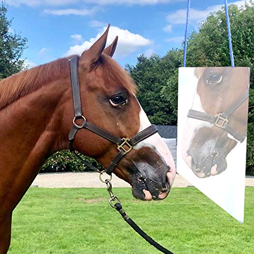 YUYUSO Horse Mirror Toy Hanging Pony Calming Mirror for Stable Barn Stall Toy Entertainment