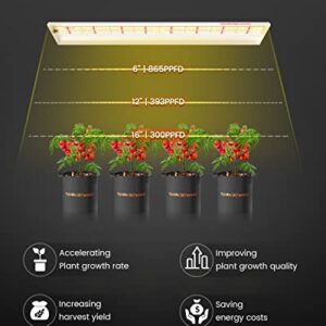 SPIDER FARMER SF-600 LED Grow Light 2x4 ft Coverage Sunlike Full Spectrum Plant Growing Lamp for Indoor Plants Hydroponics Seeding Veg Flower Energy Saving & High Efficiency Grow Lights 384 Diodes