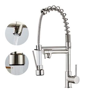 dewinner pull down kitchen faucet, kitchen sink faucet with sprayer, 2-spout, single-handle control, rotate 360 ​​degrees, high arc spring design, brushed nickel
