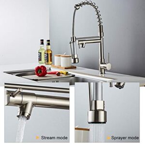 DEWINNER Pull Down Kitchen Faucet, Kitchen Sink Faucet with Sprayer, 2-spout, Single-Handle Control, Rotate 360 ​​Degrees, High Arc Spring Design, Brushed Nickel