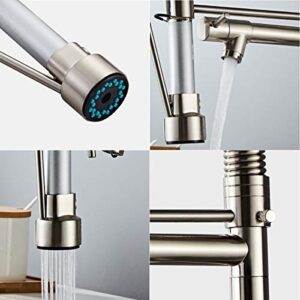 DEWINNER Pull Down Kitchen Faucet, Kitchen Sink Faucet with Sprayer, 2-spout, Single-Handle Control, Rotate 360 ​​Degrees, High Arc Spring Design, Brushed Nickel