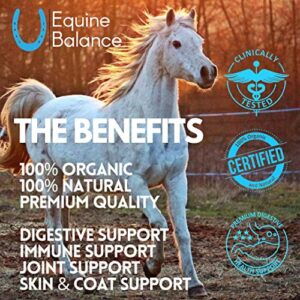 Equine Balance Premium Daily Supplement for Horses | Organic Advanced Bio-Nano Technology to Support Digestive Health | Improves Stamina | Immunity and Joint Support | 30 Day Supply | 5 oz