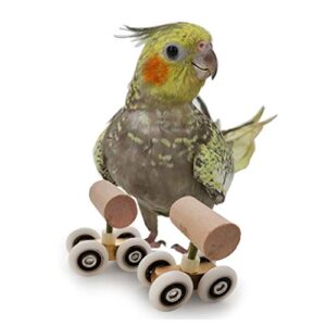 Mini Roller Skates for Parrot Double Row Toy Pet Intelligence Training Kit Supplies for Smaller Parrot