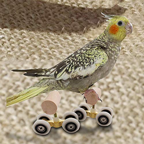 Mini Roller Skates for Parrot Double Row Toy Pet Intelligence Training Kit Supplies for Smaller Parrot