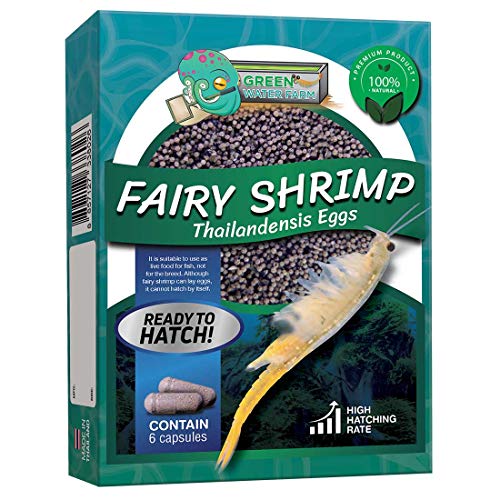 GREEN WATER FARM Fairy Shrimp Thailandensis Eggs Live Fish Food for Hatching and Culture Suitable for Feed Betta Fish