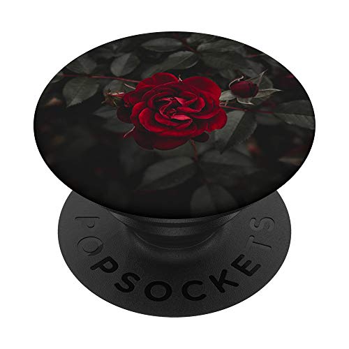 Red Rose PopSockets Swappable PopGrip