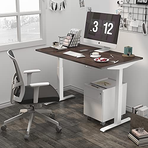 ALFA FURNISHING Advanced 55x28 Inches Standing Desk for Home Office, Dual Motor Electric Adjustable Height Desk, Sit Stand Desk with 4 Pre-Set Memory (55x28, Walnut Top + White Frame Dual Motor)