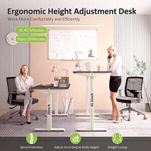 ALFA FURNISHING Advanced 55x28 Inches Standing Desk for Home Office, Dual Motor Electric Adjustable Height Desk, Sit Stand Desk with 4 Pre-Set Memory (55x28, Walnut Top + White Frame Dual Motor)