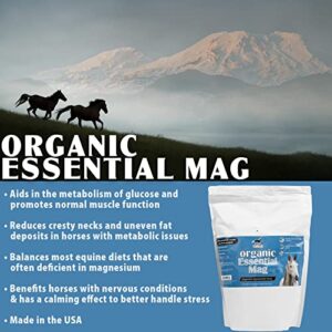 Pennwoods Organic Essential Mag, Magnesium for Horses Supplement, Aids in Glucose Metabolism, Reducing Stress and Provides Calm for Your Horse, 5 LB Bag