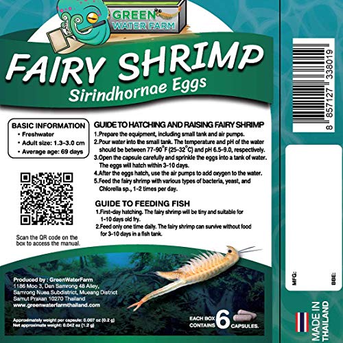 GREEN WATER FARM Greenwaterfarm Fairy Shrimp Sirindhornae Eggs Live Fish Food for Hatching and Culture Suitable for Feed Betta Fish