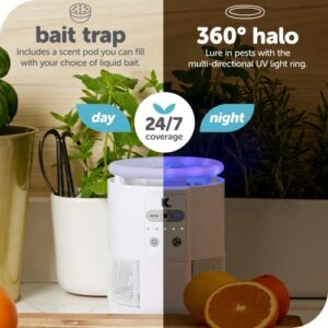 Katchy Duo 2 in 1 Indoor Fruit Fly Trap, Mosquito Killer, and Gnat & Bug Catcher with UV Light Fan and Sticky Traps for Bugs