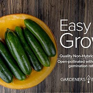 Cucumber Seeds for Planting - Marketmore 76 - Cucumis sativus Heirloom, Non-GMO Vegetable Variety- 1 Gram Seeds Great for Outdoor Gardening by Gardeners Basics