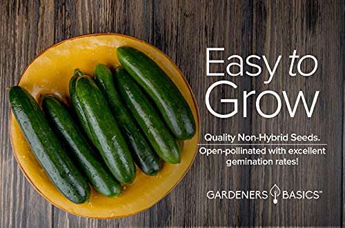 Cucumber Seeds for Planting - Marketmore 76 - Cucumis sativus Heirloom, Non-GMO Vegetable Variety- 1 Gram Seeds Great for Outdoor Gardening by Gardeners Basics