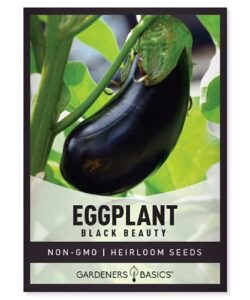 eggplant seeds for planting - black beauty solanum melongena is a great heirloom, non-gmo vegetable variety- 300 mg seeds great for outdoor spring, winter and fall gardening by gardeners basics