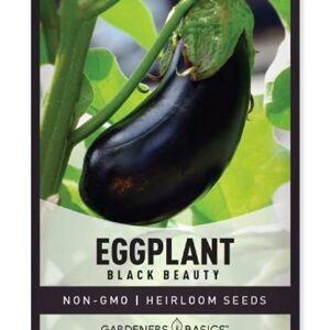 Eggplant Seeds for Planting - Black Beauty Solanum melongena is A Great Heirloom, Non-GMO Vegetable Variety- 300 mg Seeds Great for Outdoor Spring, Winter and Fall Gardening by Gardeners Basics