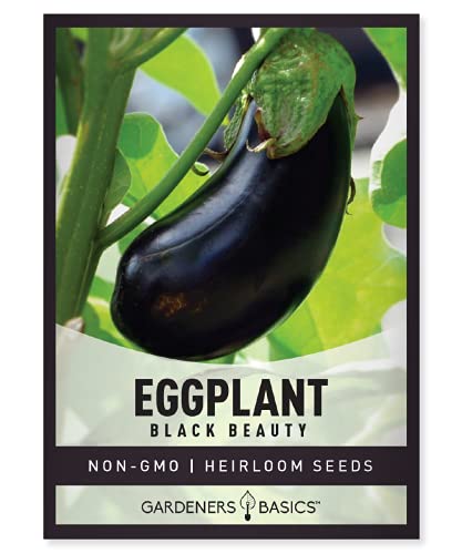 Eggplant Seeds for Planting - Black Beauty Solanum melongena is A Great Heirloom, Non-GMO Vegetable Variety- 300 mg Seeds Great for Outdoor Spring, Winter and Fall Gardening by Gardeners Basics