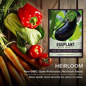 Eggplant Seeds for Planting - Black Beauty Solanum melongena is A Great Heirloom, Non-GMO Vegetable Variety- 300 mg Seeds Great for Outdoor Spring, Winter and Fall Gardening by Gardeners Basics