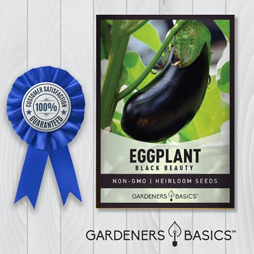 Eggplant Seeds for Planting - Black Beauty Solanum melongena is A Great Heirloom, Non-GMO Vegetable Variety- 300 mg Seeds Great for Outdoor Spring, Winter and Fall Gardening by Gardeners Basics