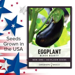 Eggplant Seeds for Planting - Black Beauty Solanum melongena is A Great Heirloom, Non-GMO Vegetable Variety- 300 mg Seeds Great for Outdoor Spring, Winter and Fall Gardening by Gardeners Basics