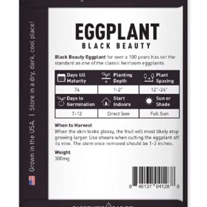 Eggplant Seeds for Planting - Black Beauty Solanum melongena is A Great Heirloom, Non-GMO Vegetable Variety- 300 mg Seeds Great for Outdoor Spring, Winter and Fall Gardening by Gardeners Basics