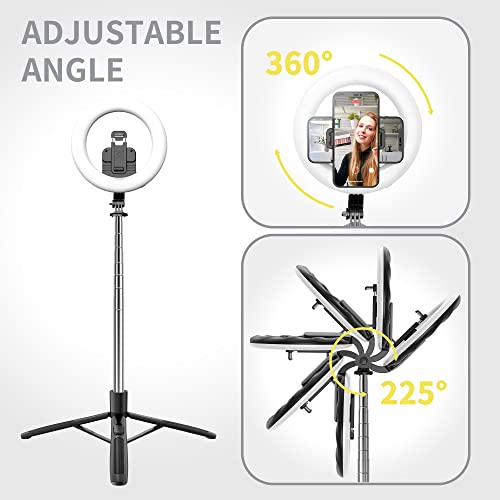 8" Selfie Ring Light with 66" Extendable Tripod Stand & Phone Holder, Portable Unplugged Dimmable LED Ringlight for Live Stream/Makeup/Tiktok/YouTube Video, Compatible with iPhone & Android