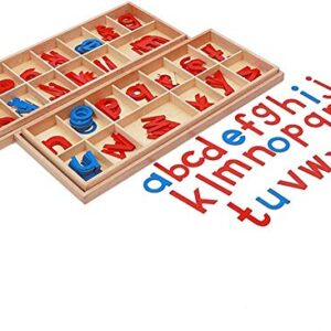 MEYOR Montessori Wooden Movable Alphabet with Box Preschool Spelling Learning Materials Large Movable Alphabet (Red & Blue)