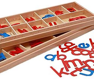 MEYOR Montessori Wooden Movable Alphabet with Box Preschool Spelling Learning Materials Large Movable Alphabet (Red & Blue)