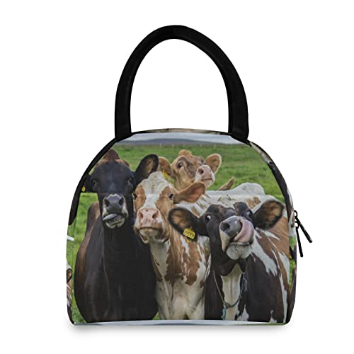 Lunch Bag Farm Animal Cow Cattle Insulated Lunch Box Leakproof Zippered Lunch Tote Bag Large Cooler Bag with Front Pocket for Women/Men Work School Girl Boy