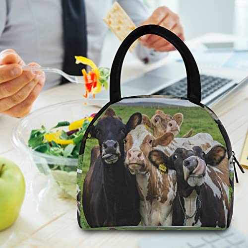 Lunch Bag Farm Animal Cow Cattle Insulated Lunch Box Leakproof Zippered Lunch Tote Bag Large Cooler Bag with Front Pocket for Women/Men Work School Girl Boy