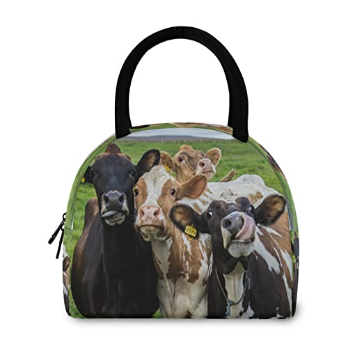 Lunch Bag Farm Animal Cow Cattle Insulated Lunch Box Leakproof Zippered Lunch Tote Bag Large Cooler Bag with Front Pocket for Women/Men Work School Girl Boy