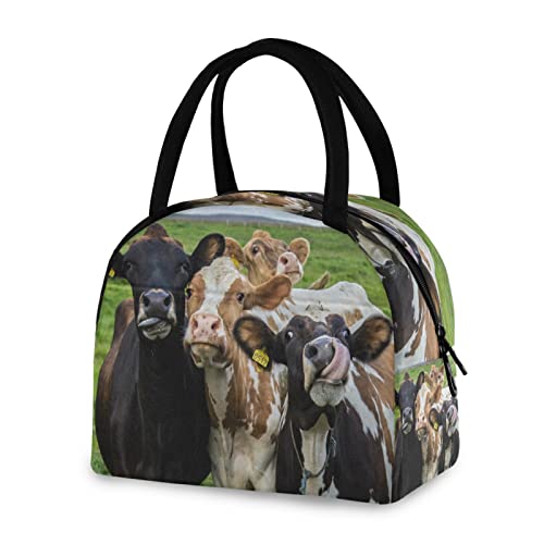 Lunch Bag Farm Animal Cow Cattle Insulated Lunch Box Leakproof Zippered Lunch Tote Bag Large Cooler Bag with Front Pocket for Women/Men Work School Girl Boy