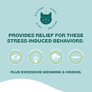 bSerene Pheromone + Catnip Calming Solution for Cats 60ml Spray Works Fast to Help Reduce Hiding, Scratching, Fighting, Marking, Stress, Anxiety at-Home or Travel Vet, Thunder, Fireworks (440223)