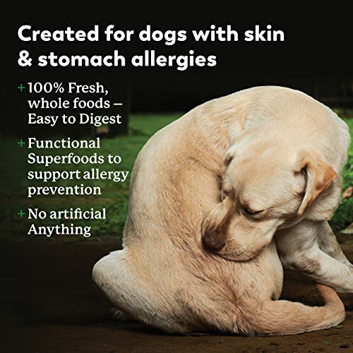 Dr. Harvey's Specialty Diet Allergy Turkey Recipe, Human Grade Dog Food for Dogs with Sensitivities and Allergies (5 Pounds)