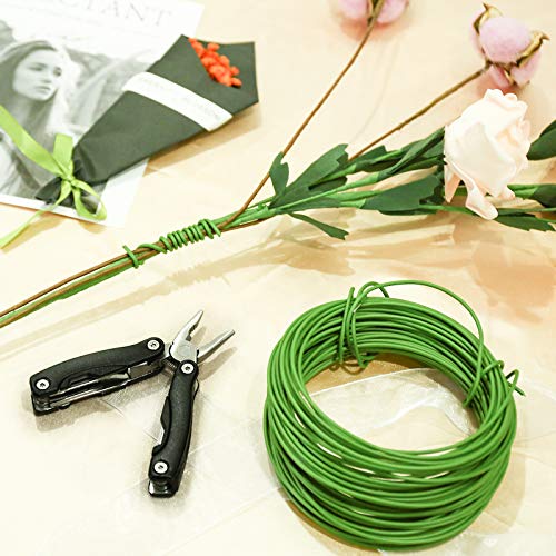 Plant Ties 65.6 Feet, All-Purpose Garden Wire Ties, Plant Wire, Soft Twist, Green Coated Twist Plant Ties, Green Plant Ties, Plant Twist Ties for Plant Support, Home & Office