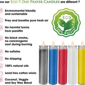 CocoSoy Candles, Assorted 7 Day Sanctuary Glass Jar Candles Great for Religious, Memorial, Party Decor, Vigils, Prayers, Blessing, 100% Natural Coconut Soy Wax - 4 Pack