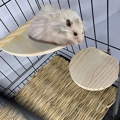 Hamiledyi 5Pcs Hamster Wooden Stand Platform Rat (L/Fan/Circular - Shaped) Activity Springboard Small Animal Natural Cage Corner Accessories for Birds, Parrot, Mouse, Gerbil to Play
