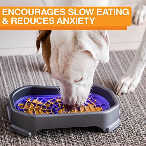 Neater Pets - Neat-LIK with Mess-Proof Tray Keeps Floors Clean - Slow Feeding Pad for Dogs & Cats - Relieves Anxiety & Cures Boredom - Fill Licking Pad with Treats & Food (Purple & Gunmetal)