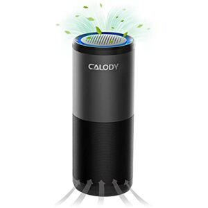 calody portable air purifier, car air purifier with h13 true hepa filter for allergies, smoke, dust and odor eliminator, hepa air purifier for car traveling bedroom office