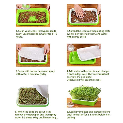 EBaokuup 10Pcs Seed Sprouter Tray with Drain Holes - BPA Free Seed Garden Plant Germination Propagation Trays, Soil-Free Wheatgrass Tray Sprouter Microgreens Growing Kit with Germinating Paper