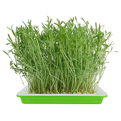 EBaokuup 10Pcs Seed Sprouter Tray with Drain Holes - BPA Free Seed Garden Plant Germination Propagation Trays, Soil-Free Wheatgrass Tray Sprouter Microgreens Growing Kit with Germinating Paper