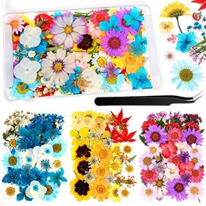 110 pieces dried pressed flower leaves with box and curved tweezers set assorted natural daisy flowers diy real dry flowers for candle decoration, resin epoxy, jewelry crafts making
